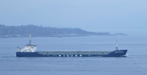  WILSON AVONMOUTH     and  Specifications