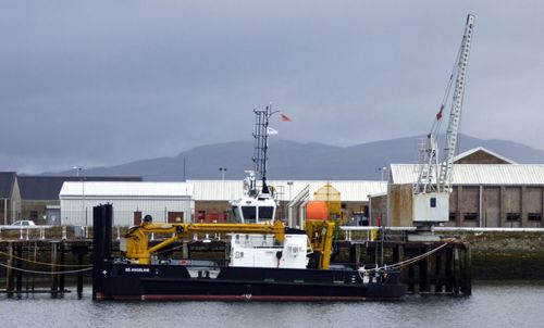 Image of SD ANGELINE